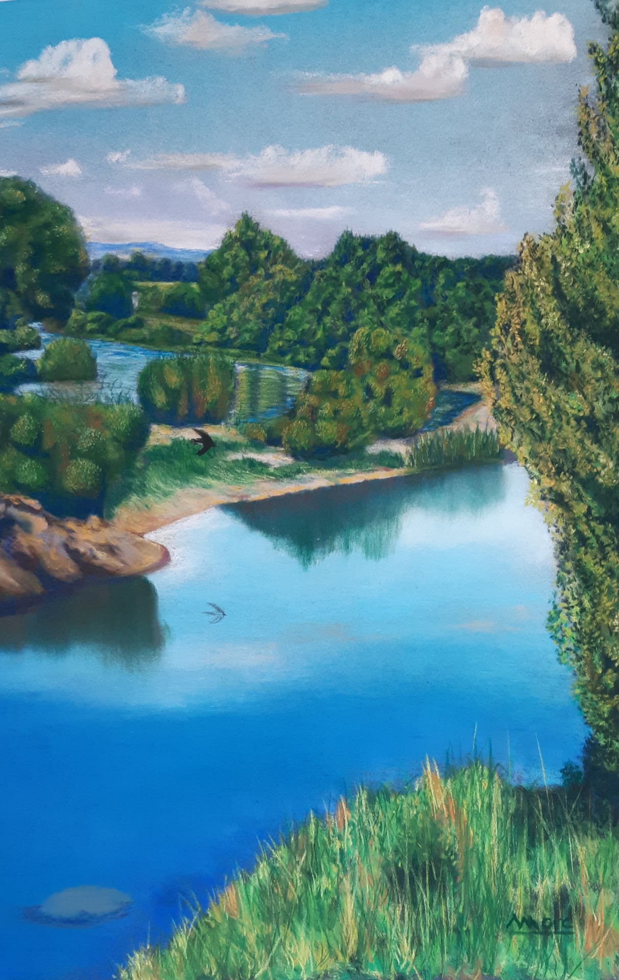 193 la loire a balbigny 30x40 0620 coline