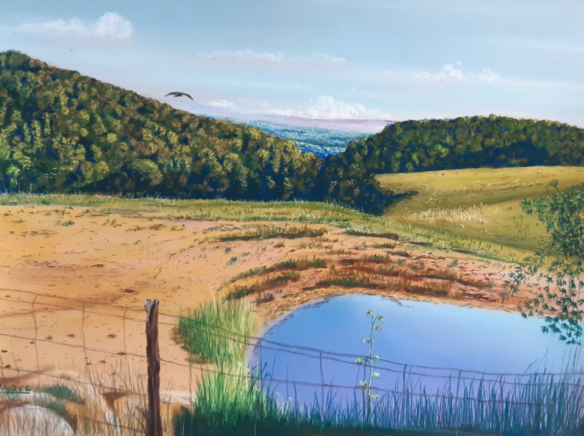 195 boutasse chez tour a neronde 30x40 0720