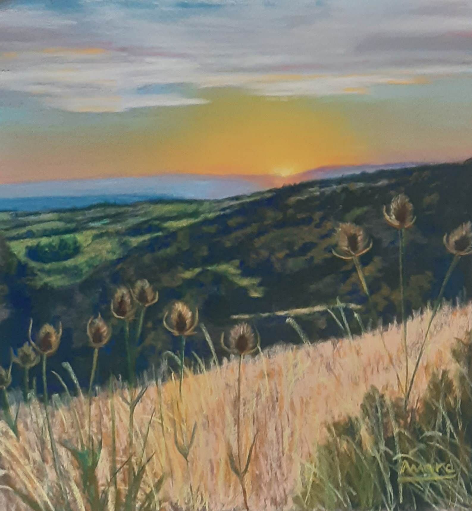 197 couchant au vallon photo de jacqueline 0820 jacqueline