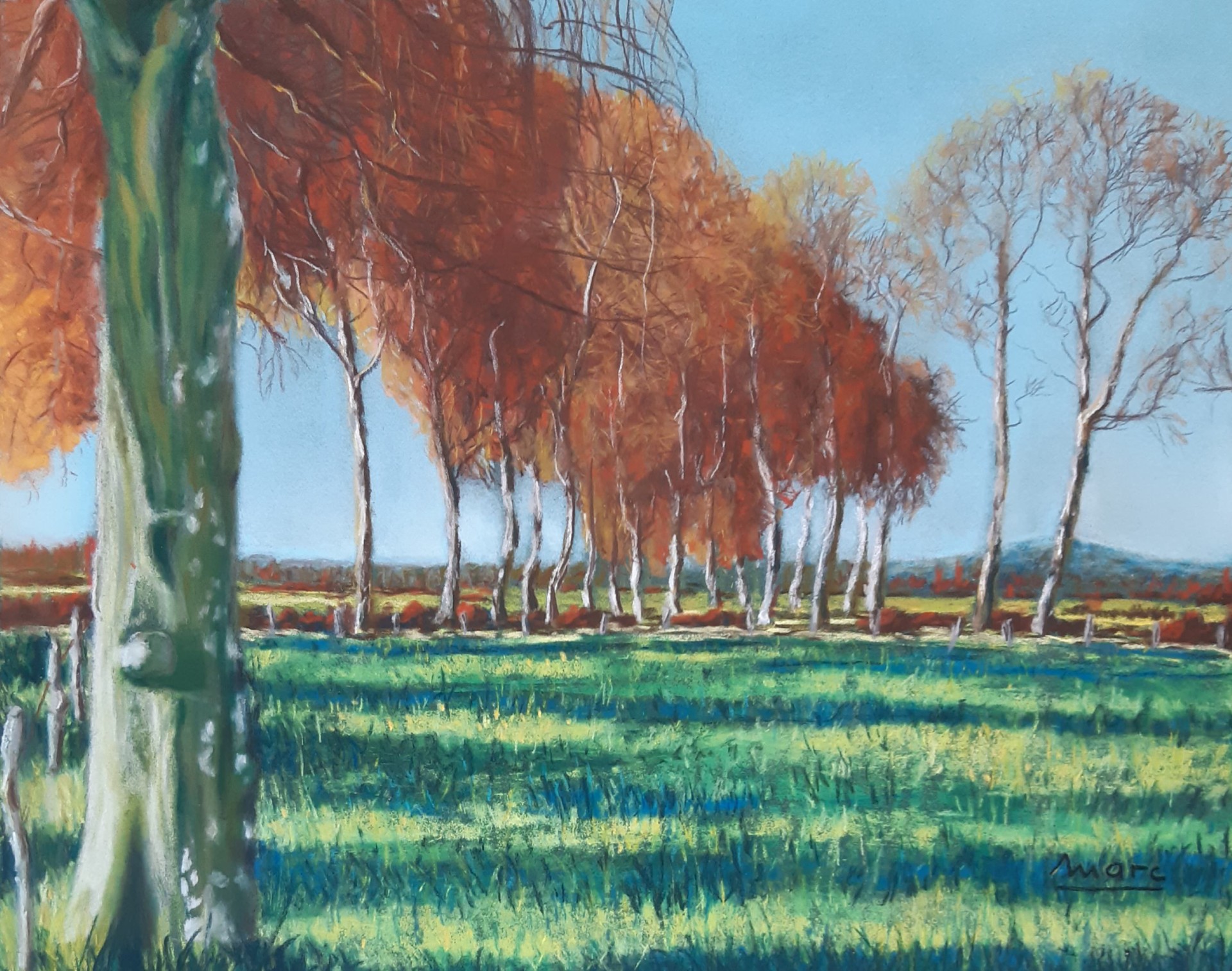 211 allee de platanes 24x30 0321