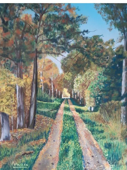 213 prom nons nous dans les bois 24x30 0421