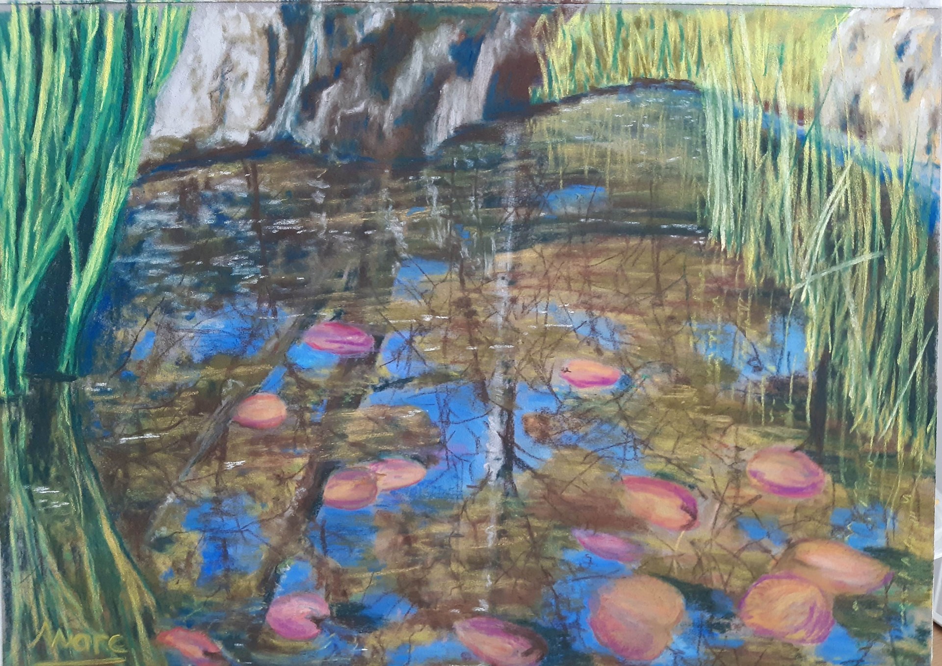 215 reflets dans la mare 0521 liogier de sereys