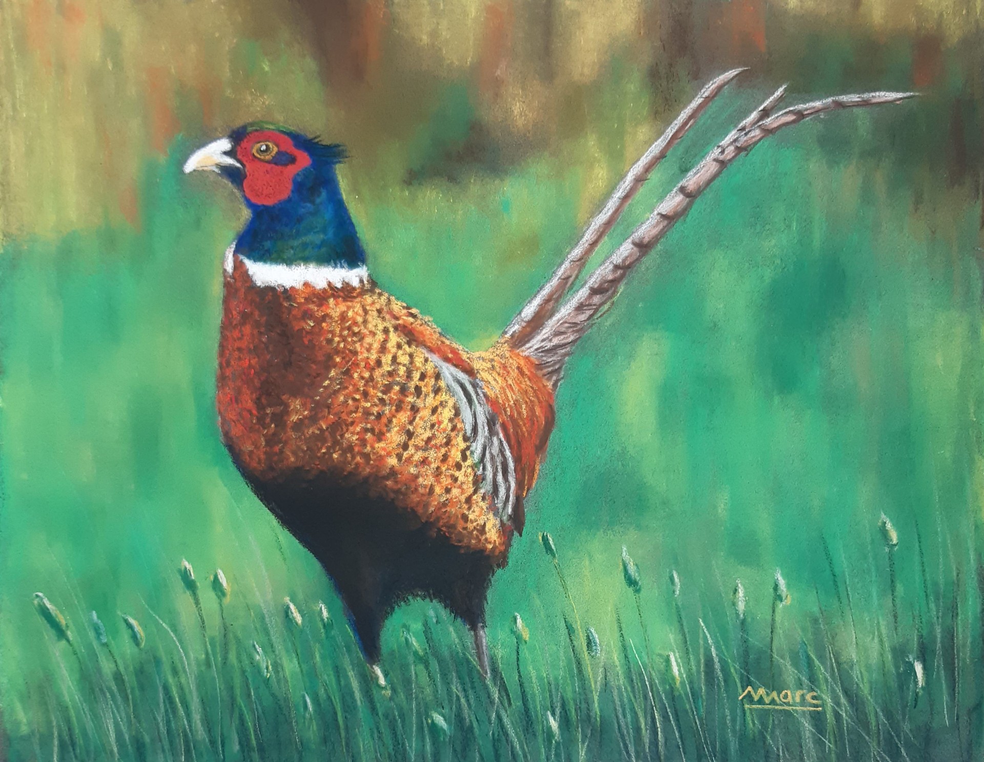 223 a le faisant prince des fourres 1021 xant