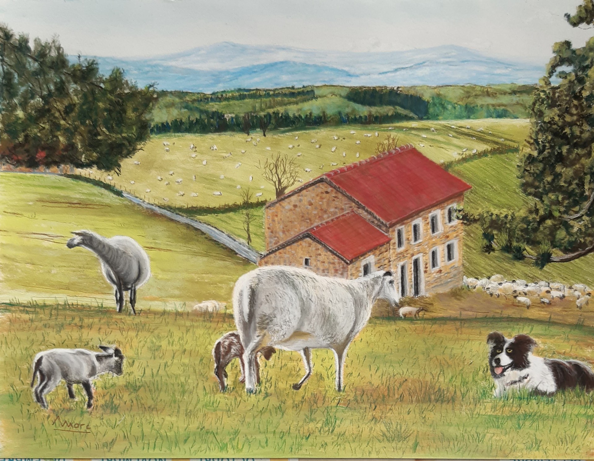 223 b agnelage 40x40 1021 chenevoux