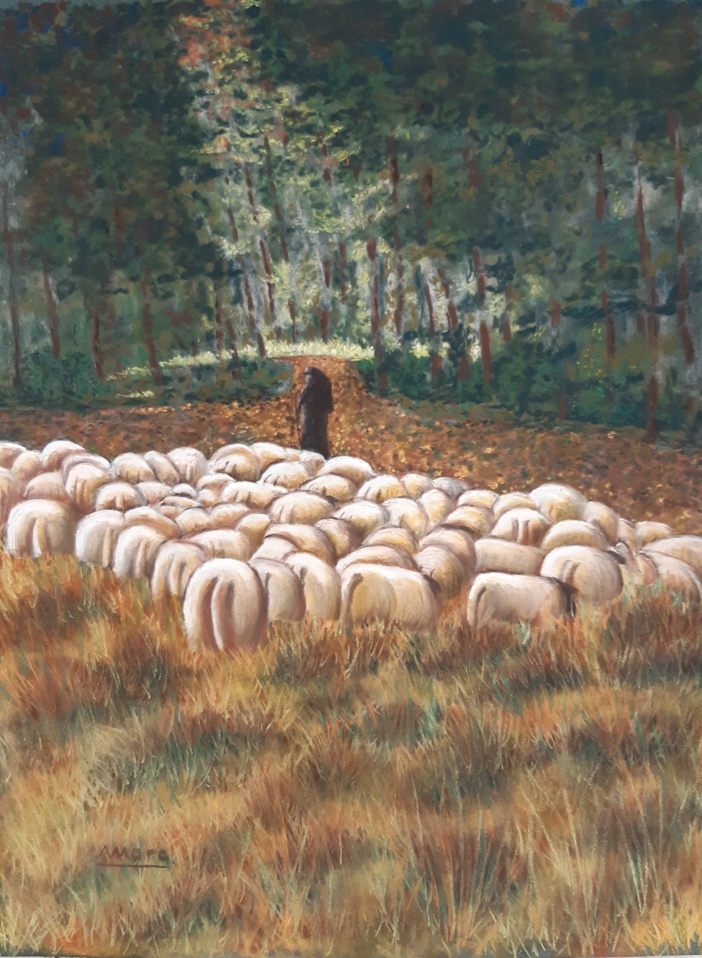 234 pais mes brebis jn 21 17 30x40 0322