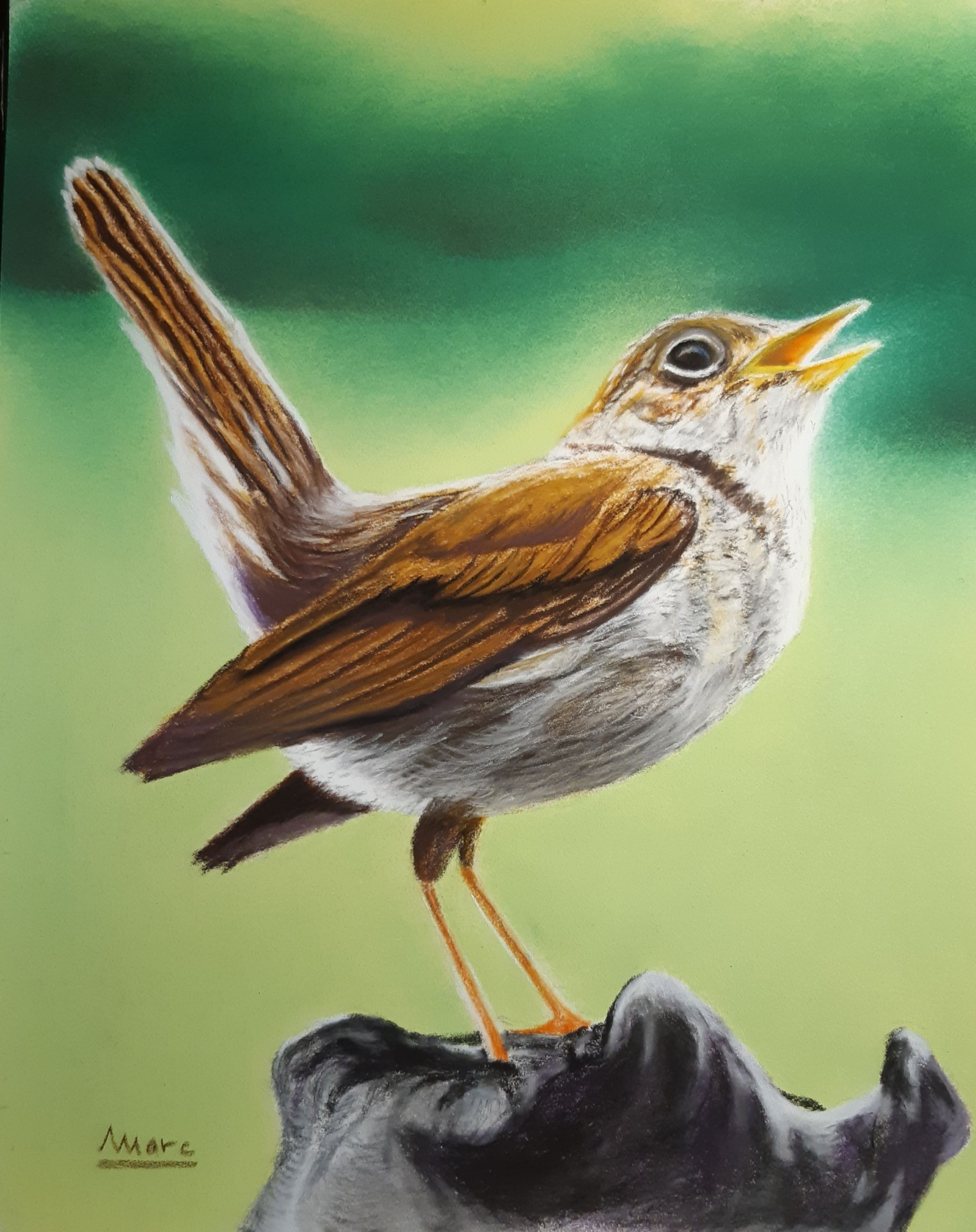 242 chante rossignol chante 24x30 0123