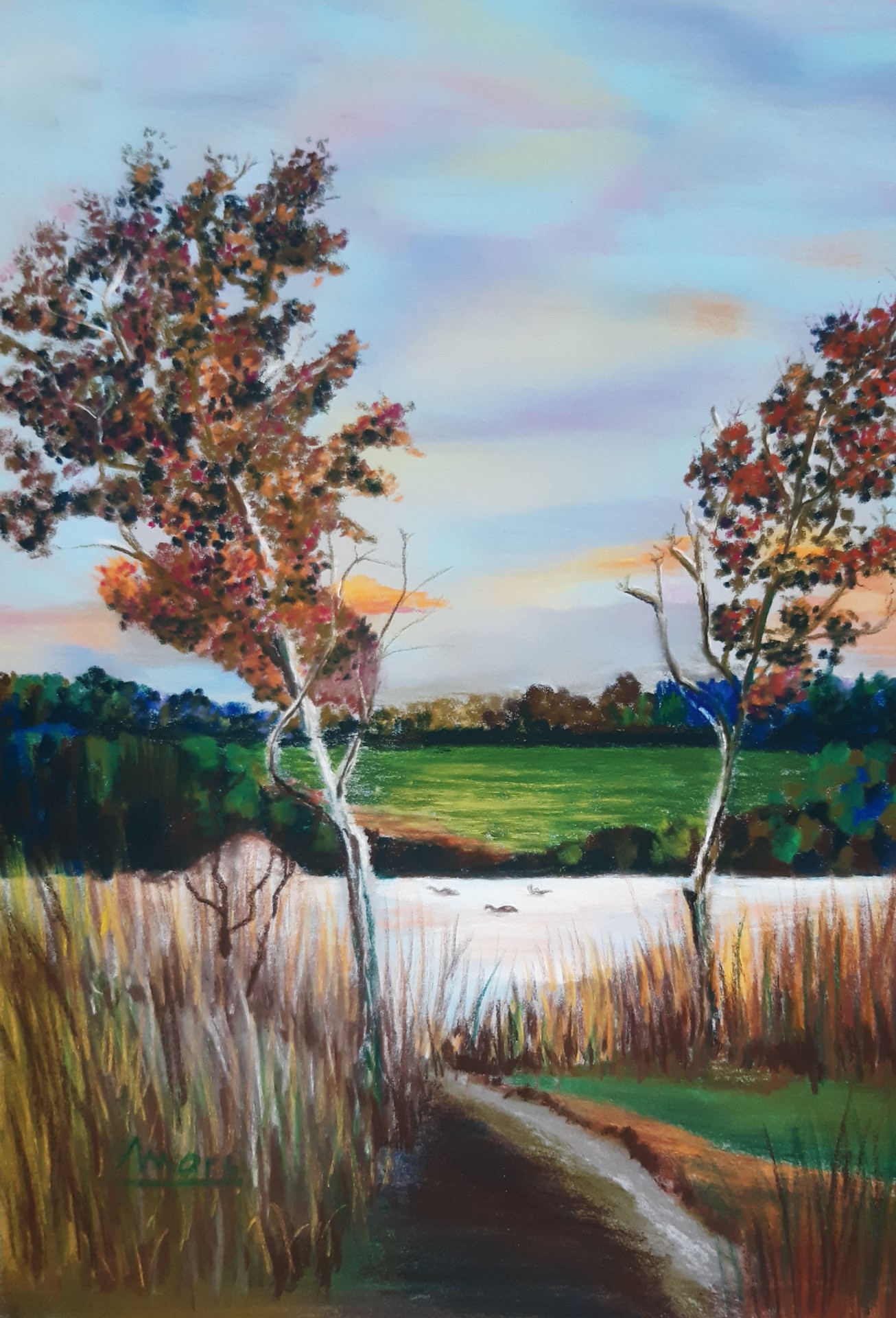 259 etang forezien d apres p franc 24x30 1224